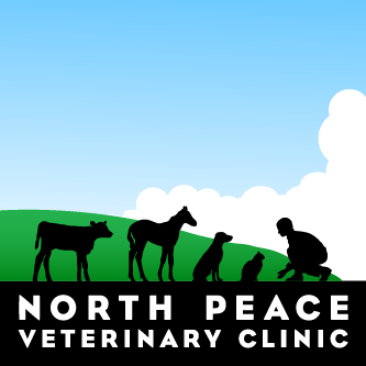 North Peace Vet Clinic