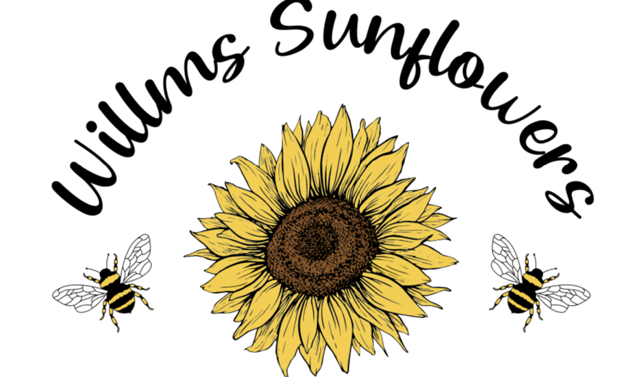 Willms Sunflowers