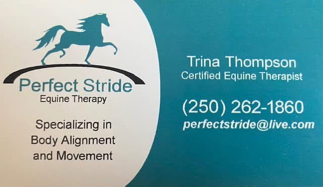Perfect Stride Equine Therapy